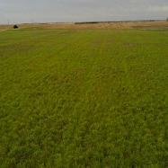 Creating Resilient No-Till Soil Image